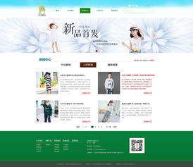 企業網站設計與軟件開發 打造數字化競爭力的雙引擎